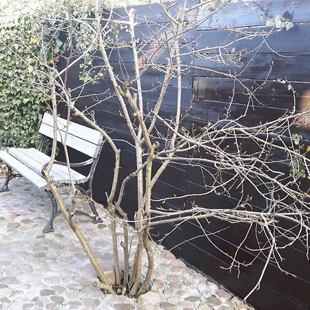 Appartamento Zacisze Kalwy Esterno foto