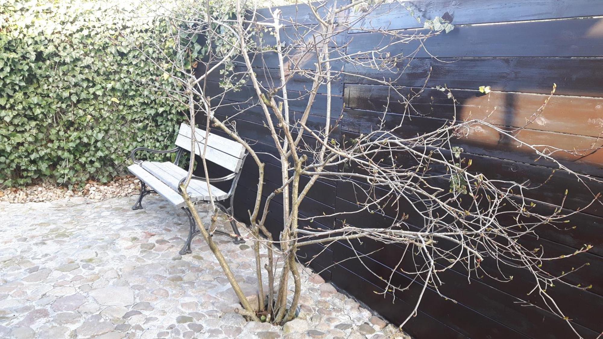 Appartamento Zacisze Kalwy Esterno foto