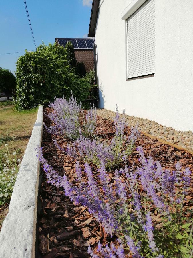 Appartamento Zacisze Kalwy Esterno foto
